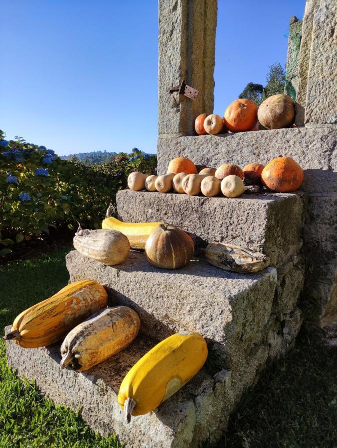 Casa Da Mata Villa Paredes de Coura Dış mekan fotoğraf